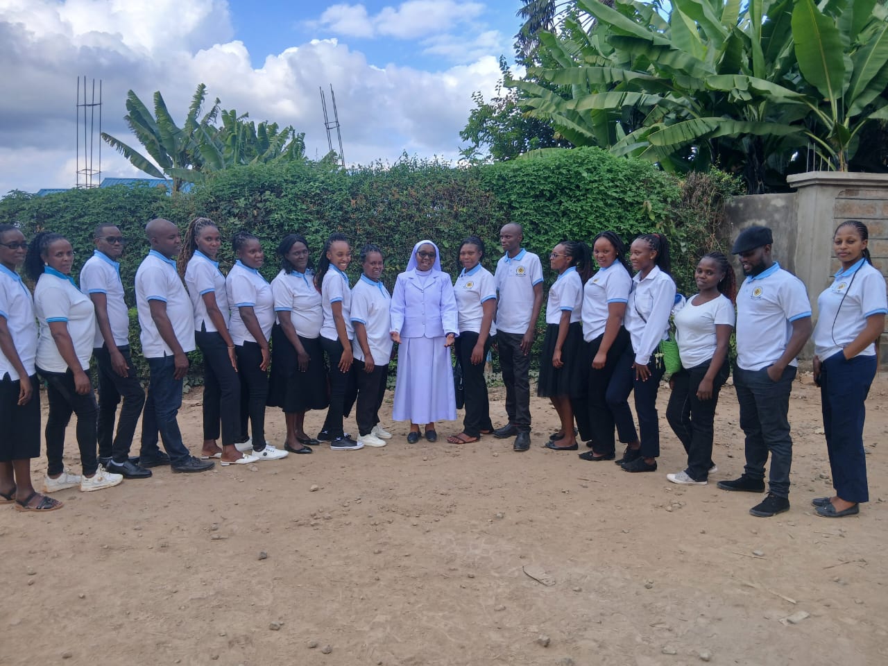 Hospital care team